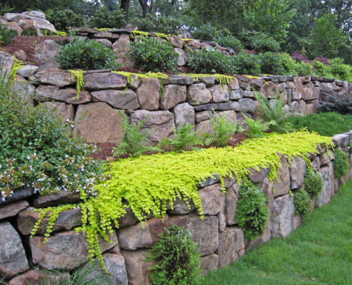 planting on boulder wall